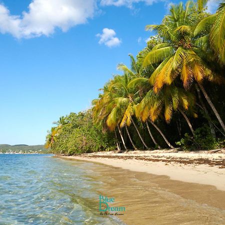 Kawan Nid - Tout Confort, Plage A 2 Min A Pied, Piscine, Wifi, Climatisation Grand-Bourg  Eksteriør bilde